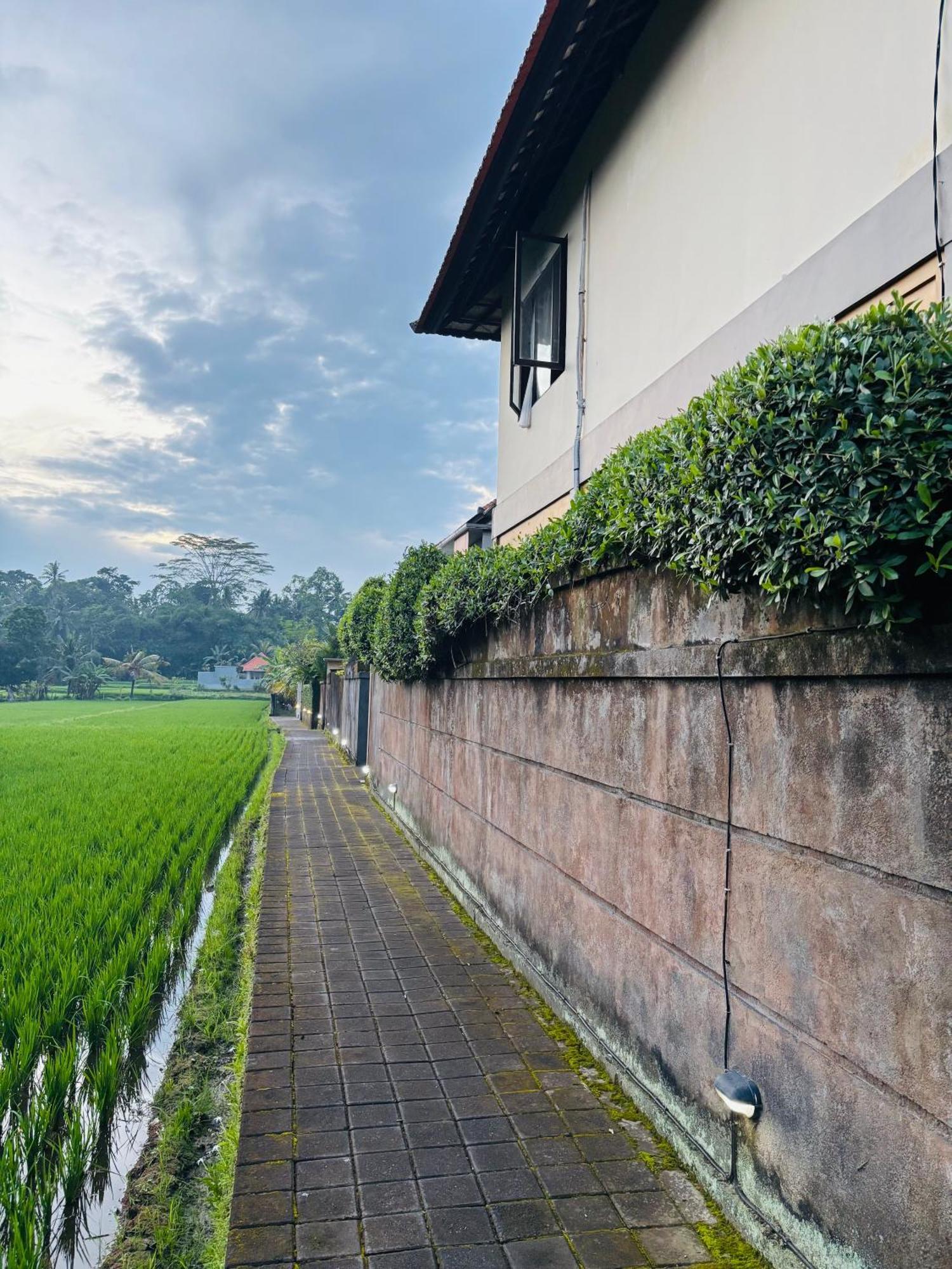 Uma Padi Villa Ubud  Ngoại thất bức ảnh