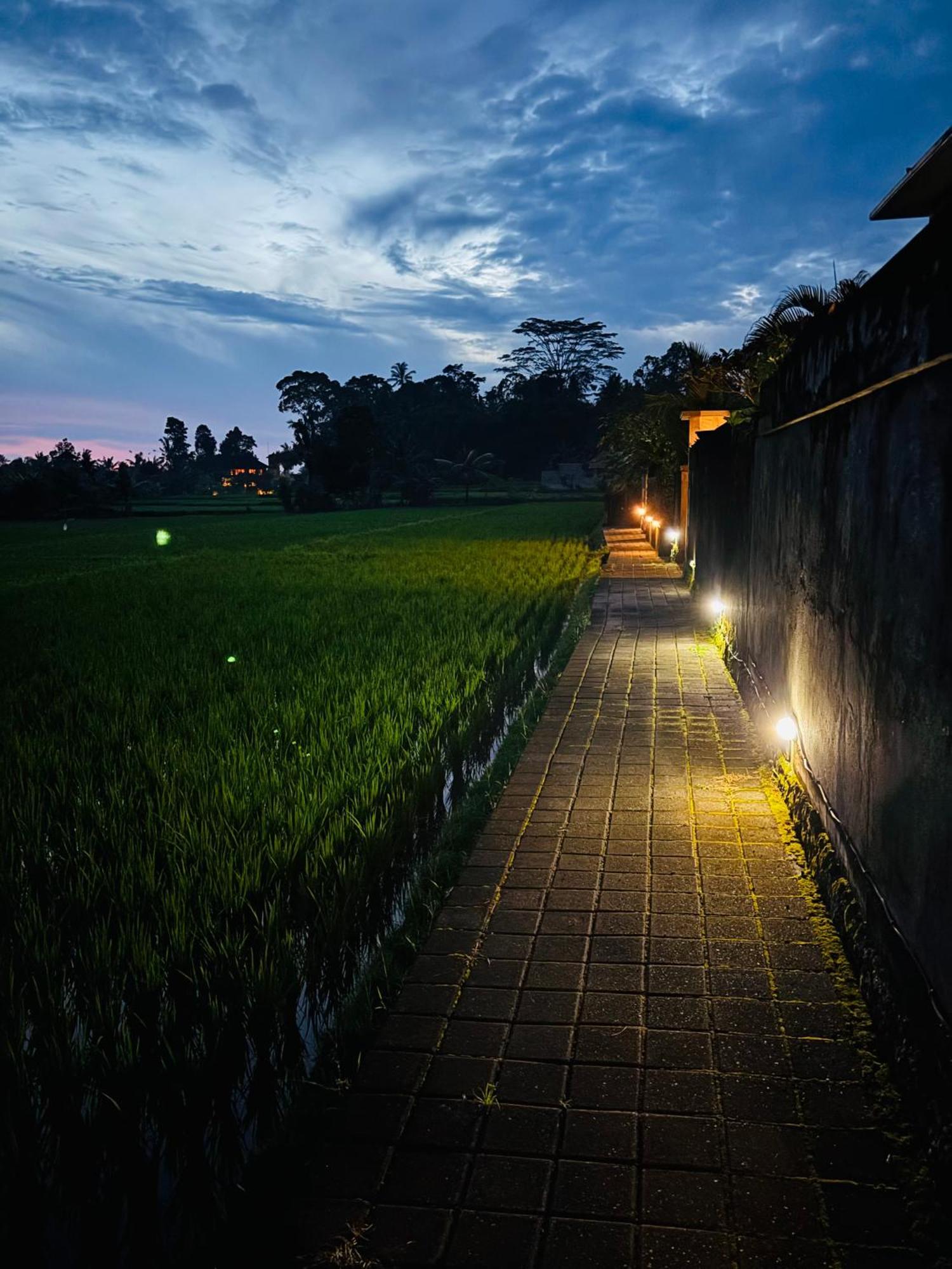 Uma Padi Villa Ubud  Ngoại thất bức ảnh