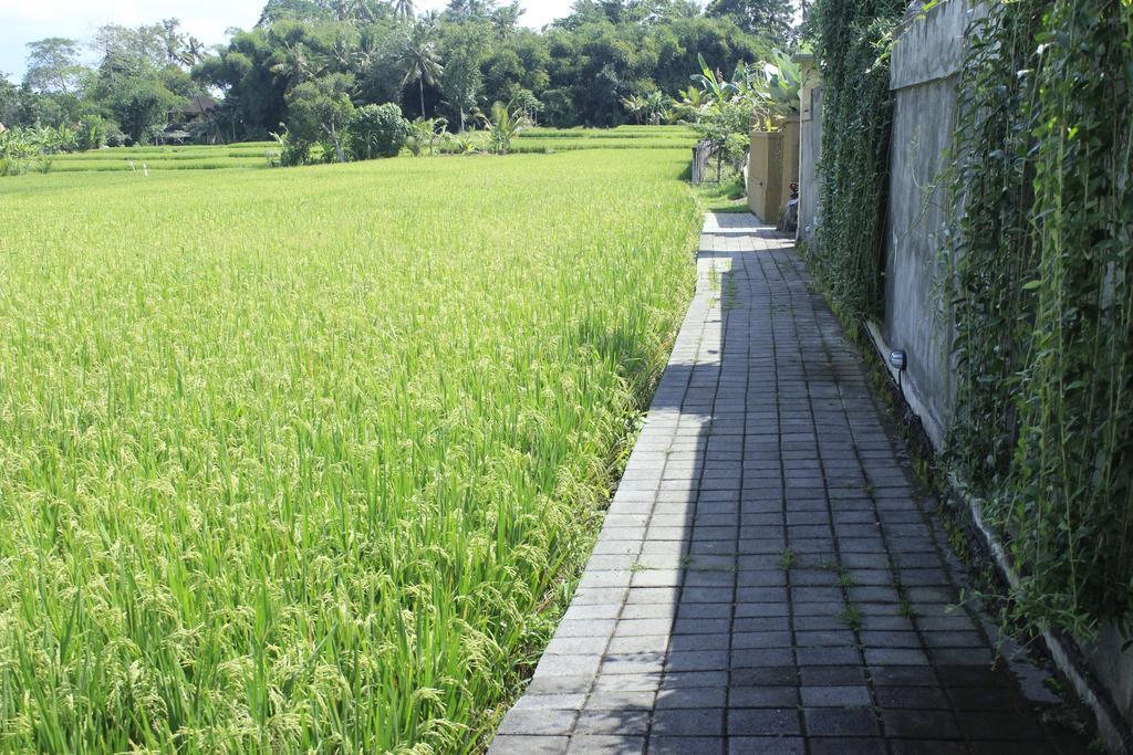 Uma Padi Villa Ubud  Ngoại thất bức ảnh